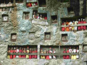 budaya-toraja