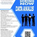Data Analyst