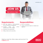 Risk Advisory Intern